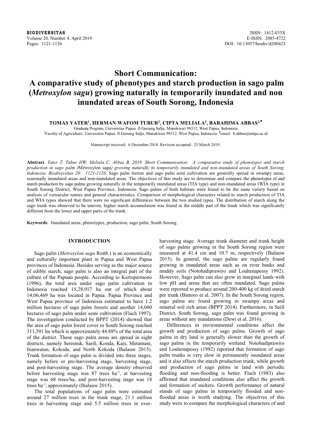 A Comparative Study of Phenotypes and Starch Production in Sago Palm