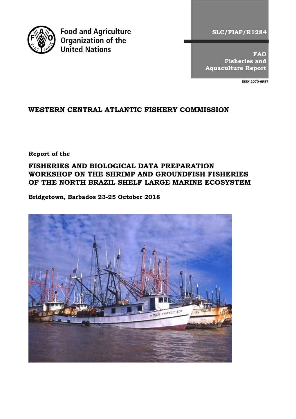 Report of the FISHERIES and BIOLOGICAL DATA PREPARATION WORKSHOP on the SHRIMP and GROUNDFISH FISHERIES of the NORTH BRAZIL SHELF LARGE MARINE ECOSYSTEM