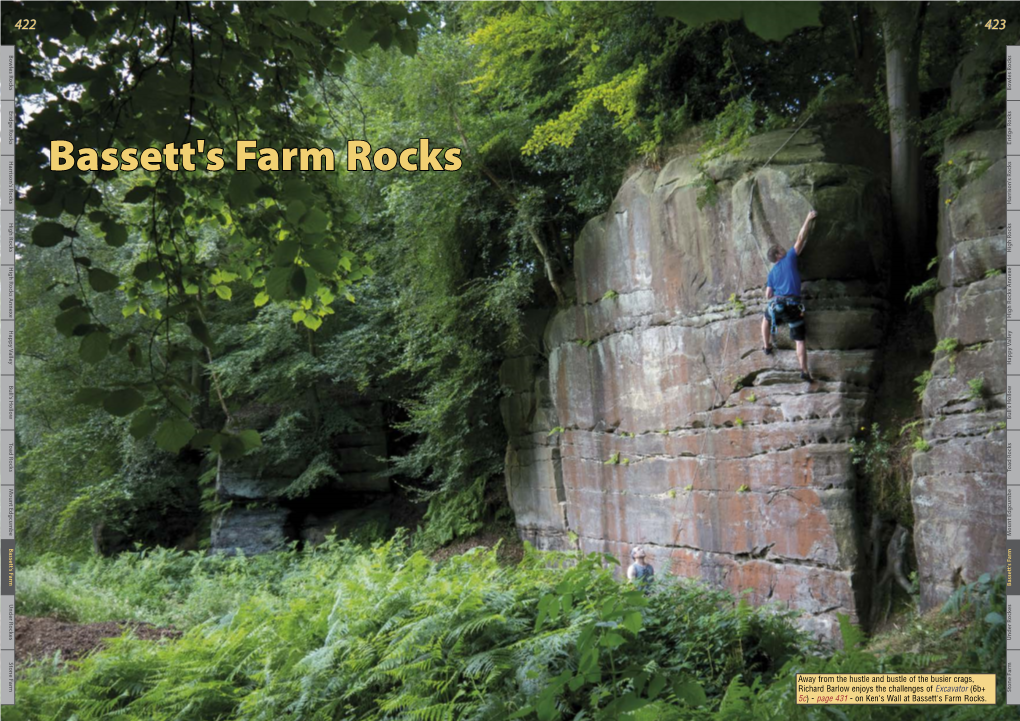 Bassett's Farm Rocks
