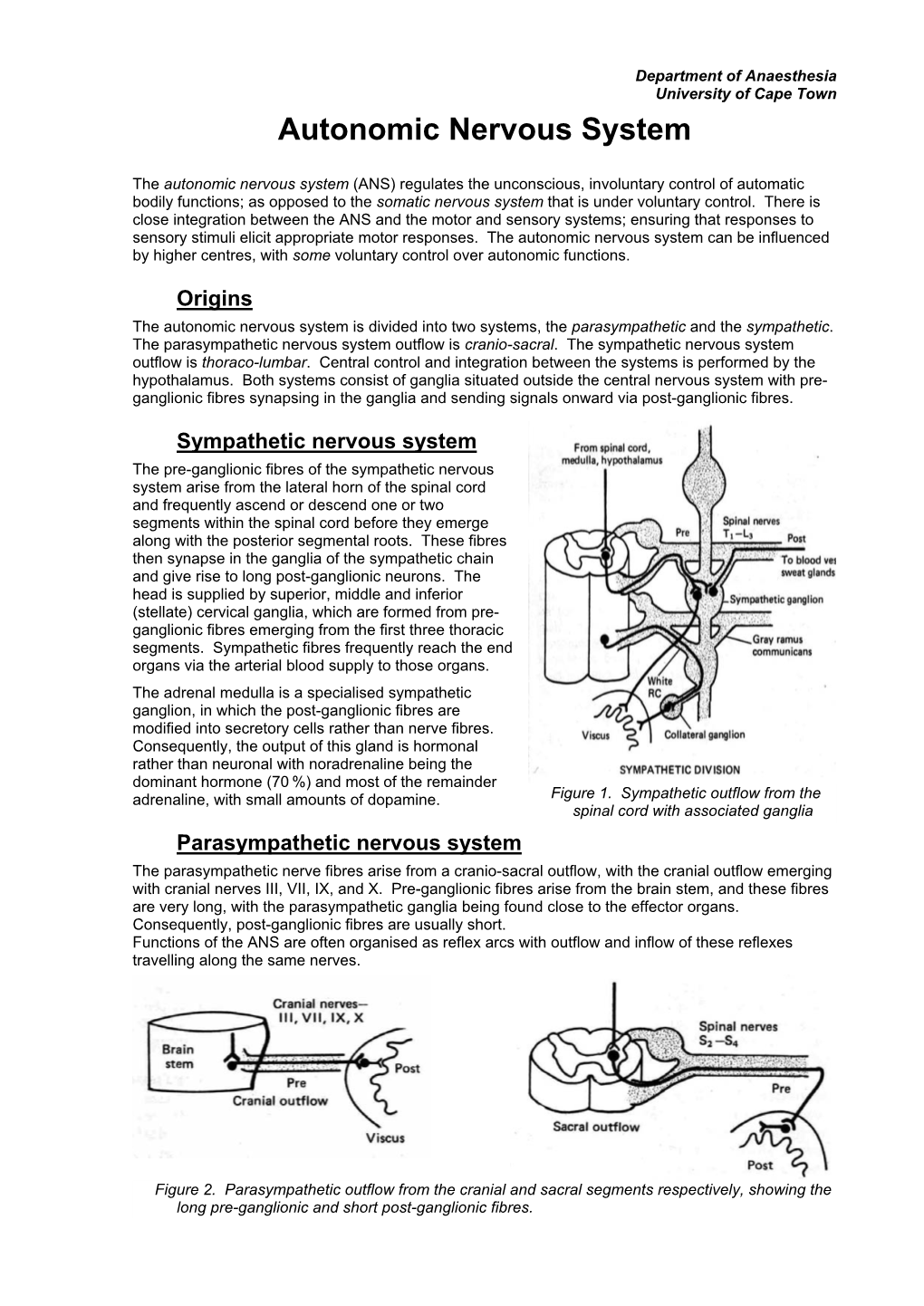 Autonomic Nervous System