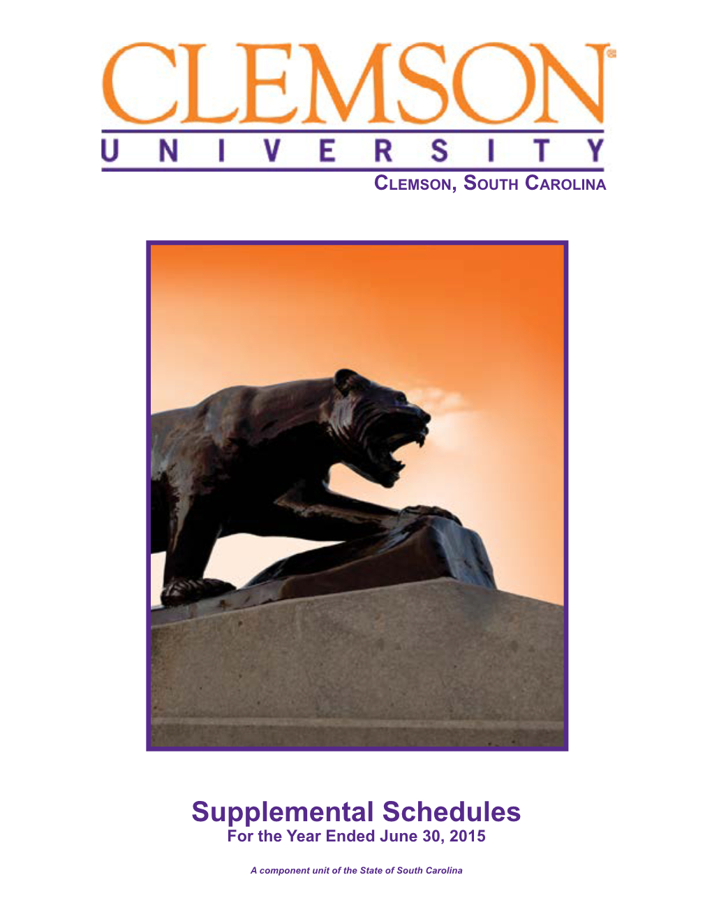 Supplemental Schedules for the Year Ended June 30, 2015