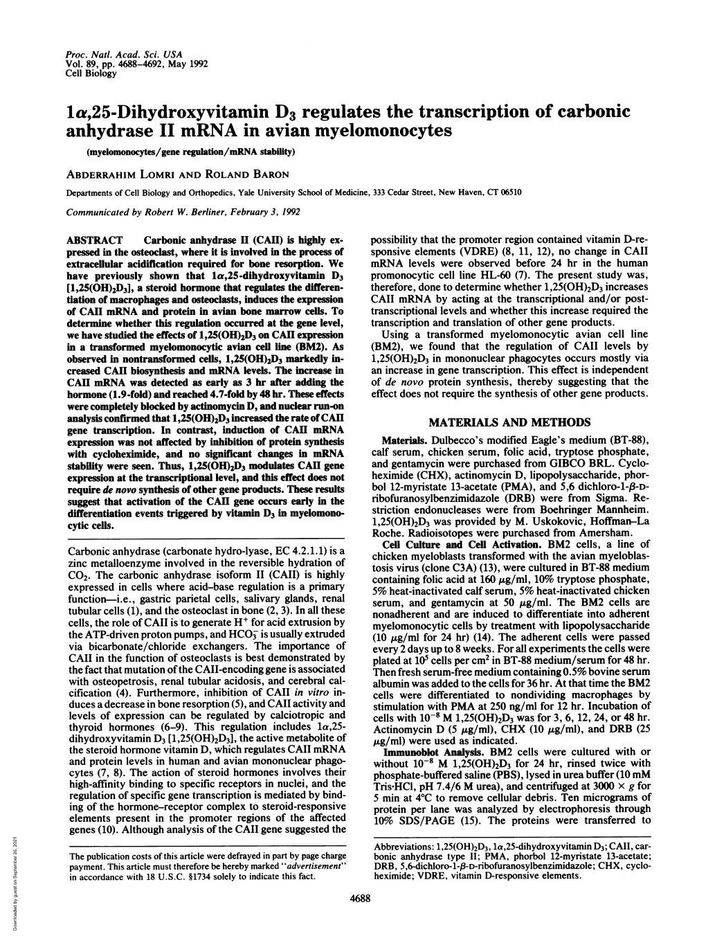 Lea,25-Dihydroxyvitamin D3regulates the Transcription of Carbonic Anhydrase II Mrna in Avian Myelomonocytes