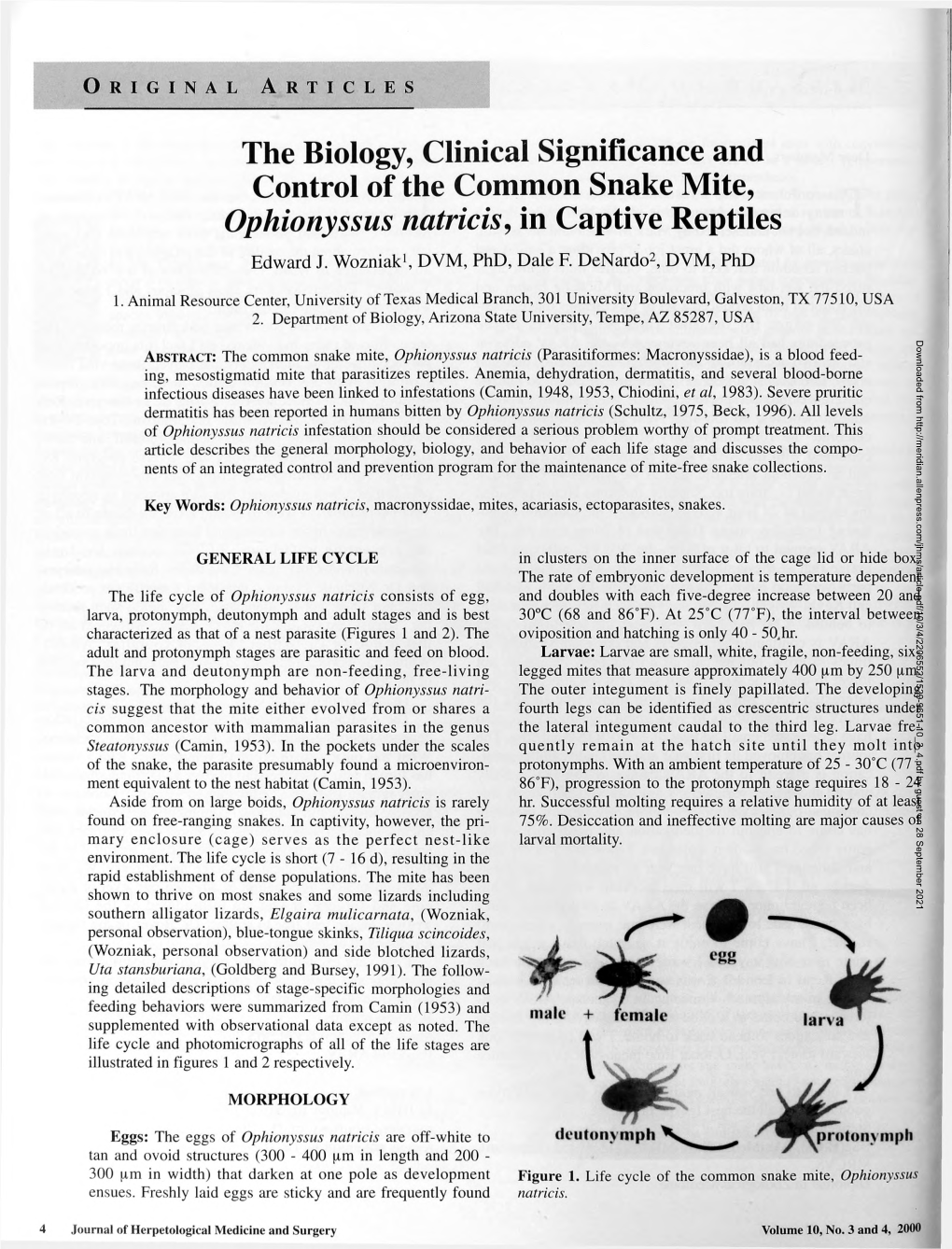 The Biology, Clinical Significance and Control of the Common Snake Mite, Ophionyssus Natricis, in Captive Reptiles Edward J