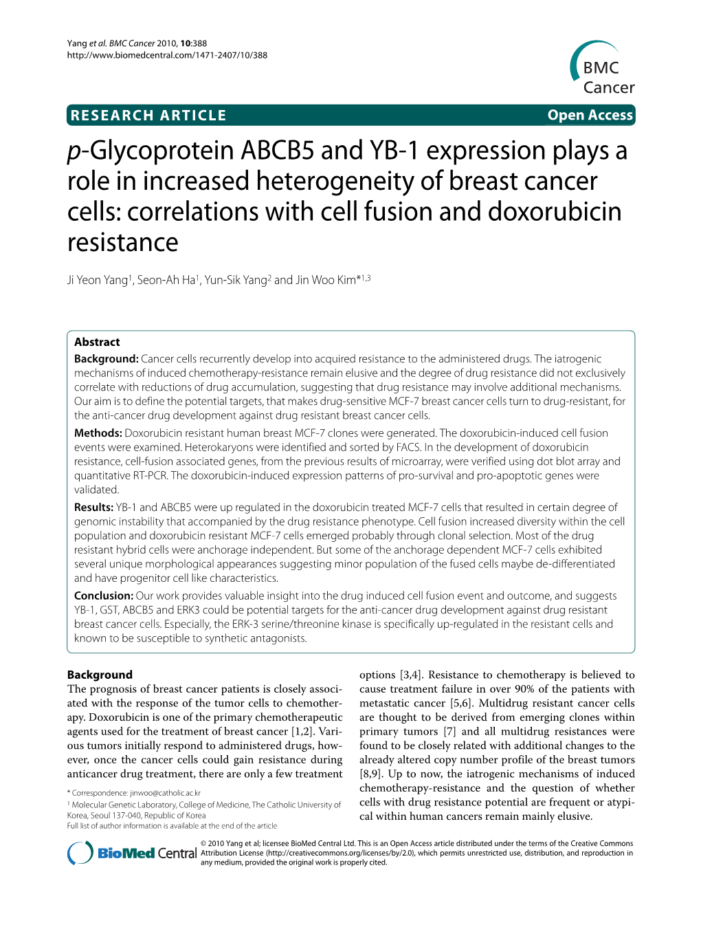 P-Glycoprotein ABCB5 and YB-1 Expression Plays A