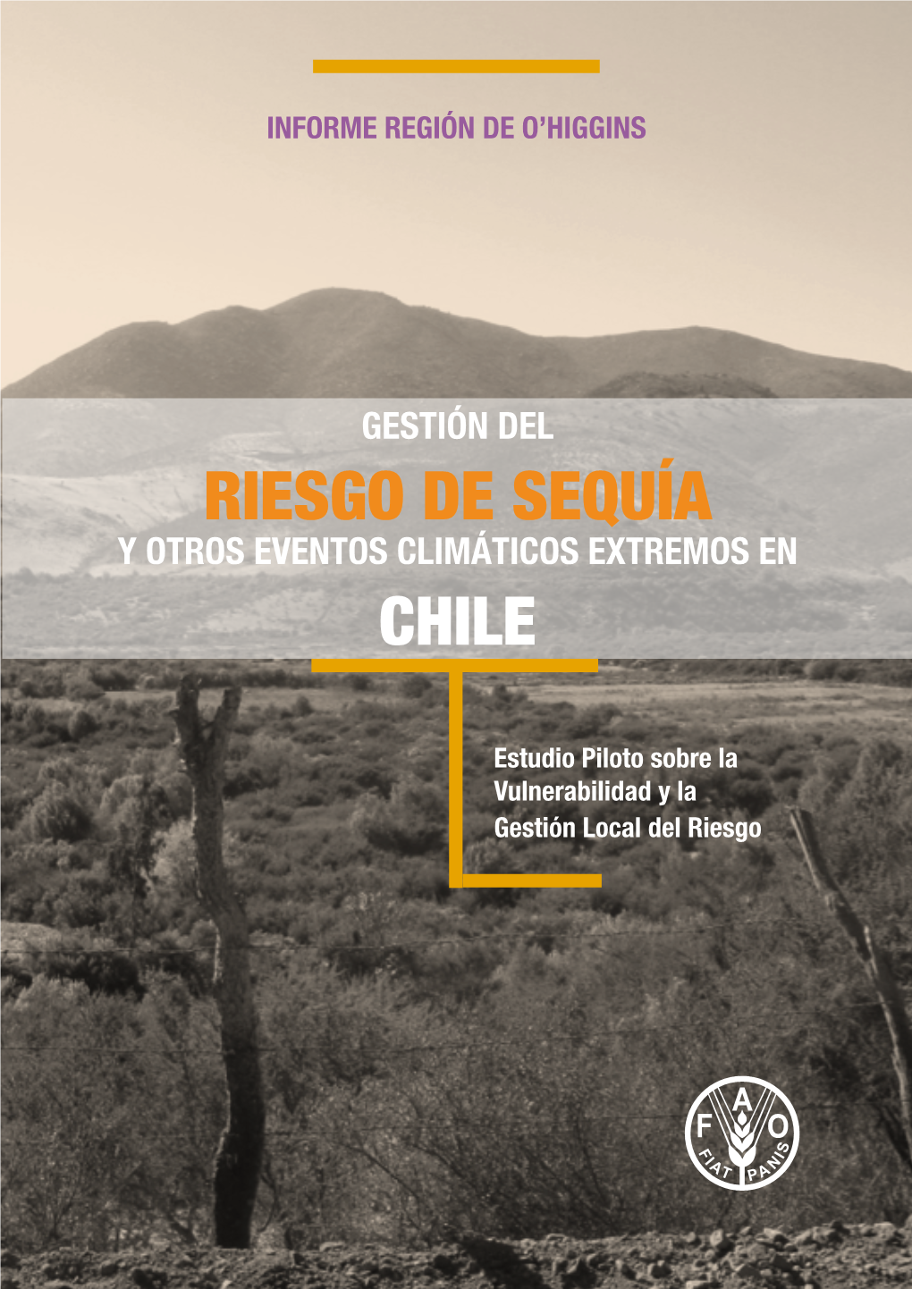 Gestión Del Riesgo De Sequía Y Otros Eventos Climáticos Extremos En Chile