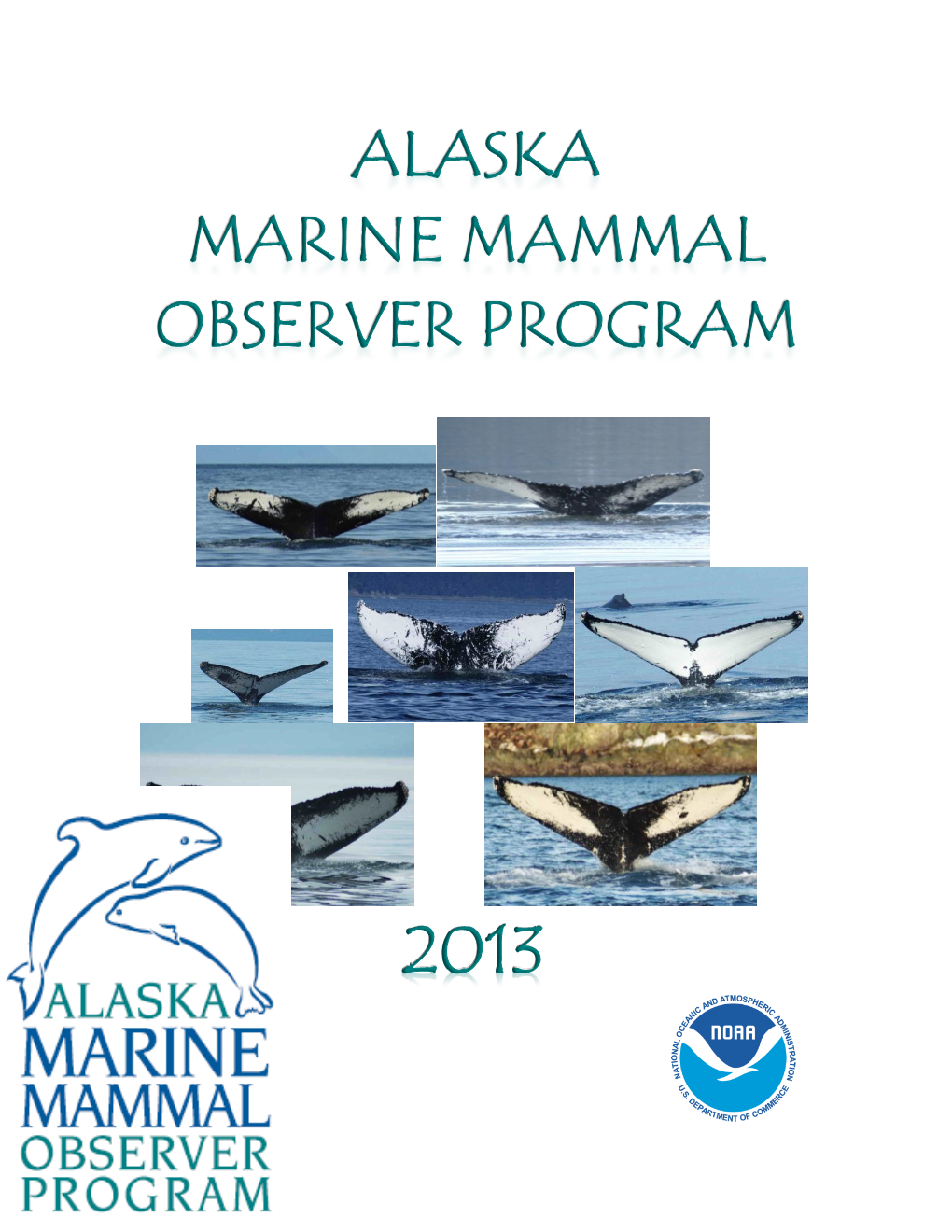 2013 AMMOP Observer Manual