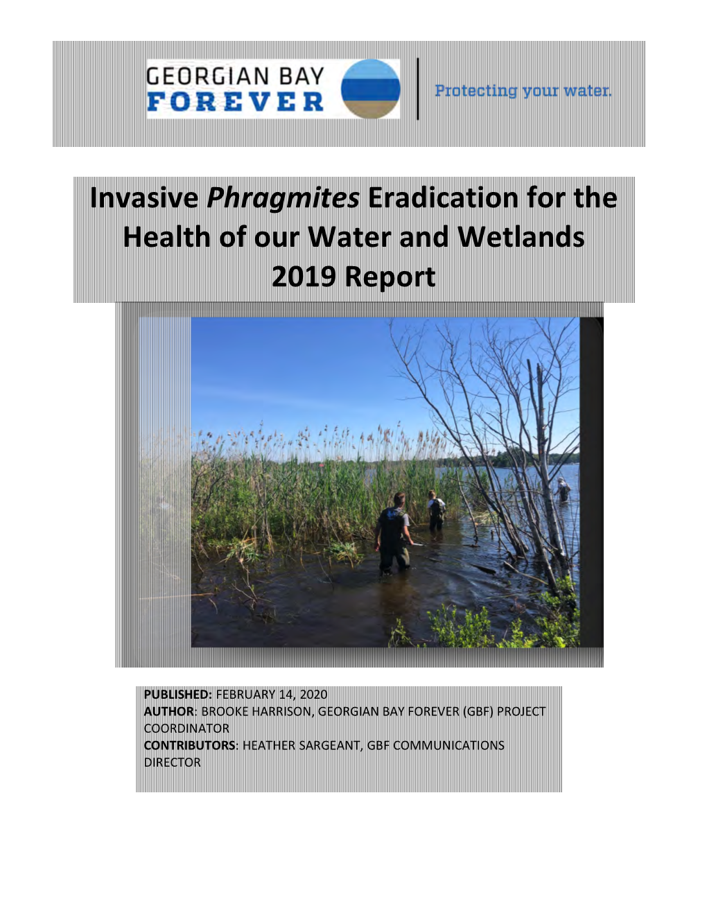 Invasive Phragmites Eradication for the Health of Our Water and Wetlands 2019 Report