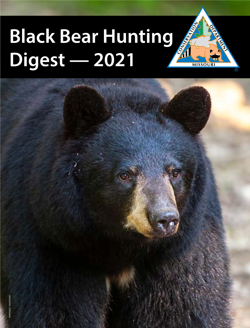 Bear Hunting Digest — 2021 AOTHONG P