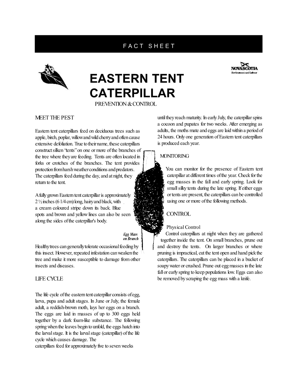 Eastern Tent Caterpillar Prevention & Control