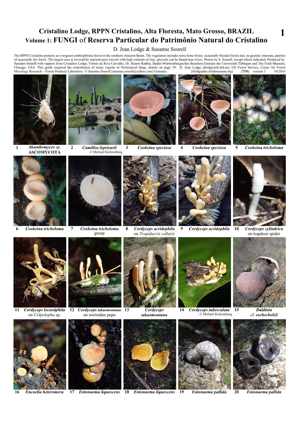 FUNGI of Reserva Particular Do Patrimônio Natural Do Cristalino D