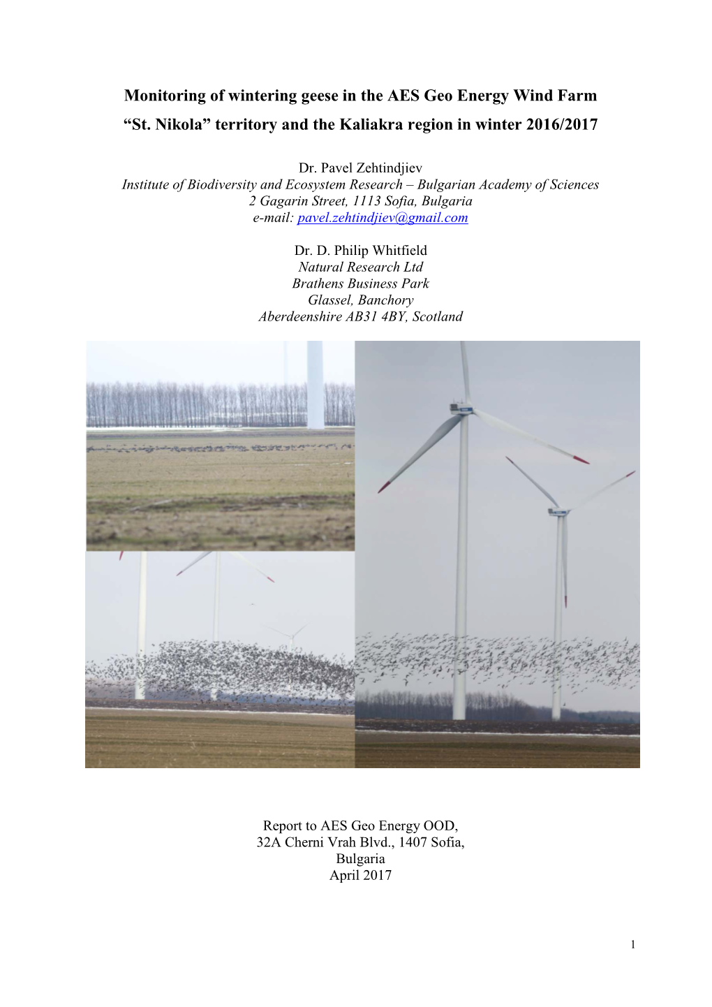Monitoring of Wintering Geese in the AES Geo Energy Wind Farm “St