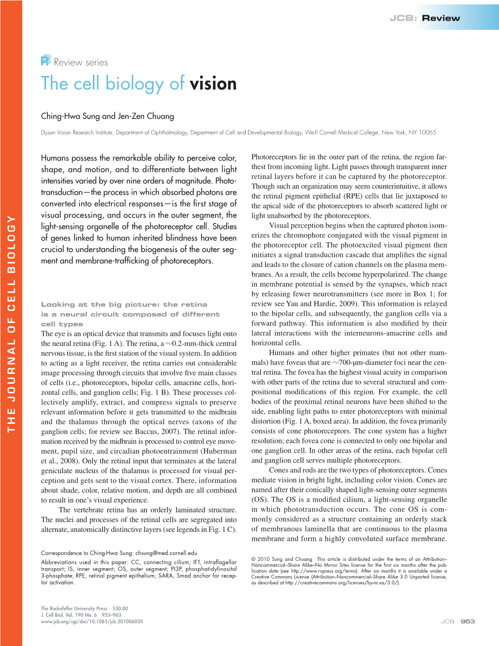 The Cell Biology of Vision