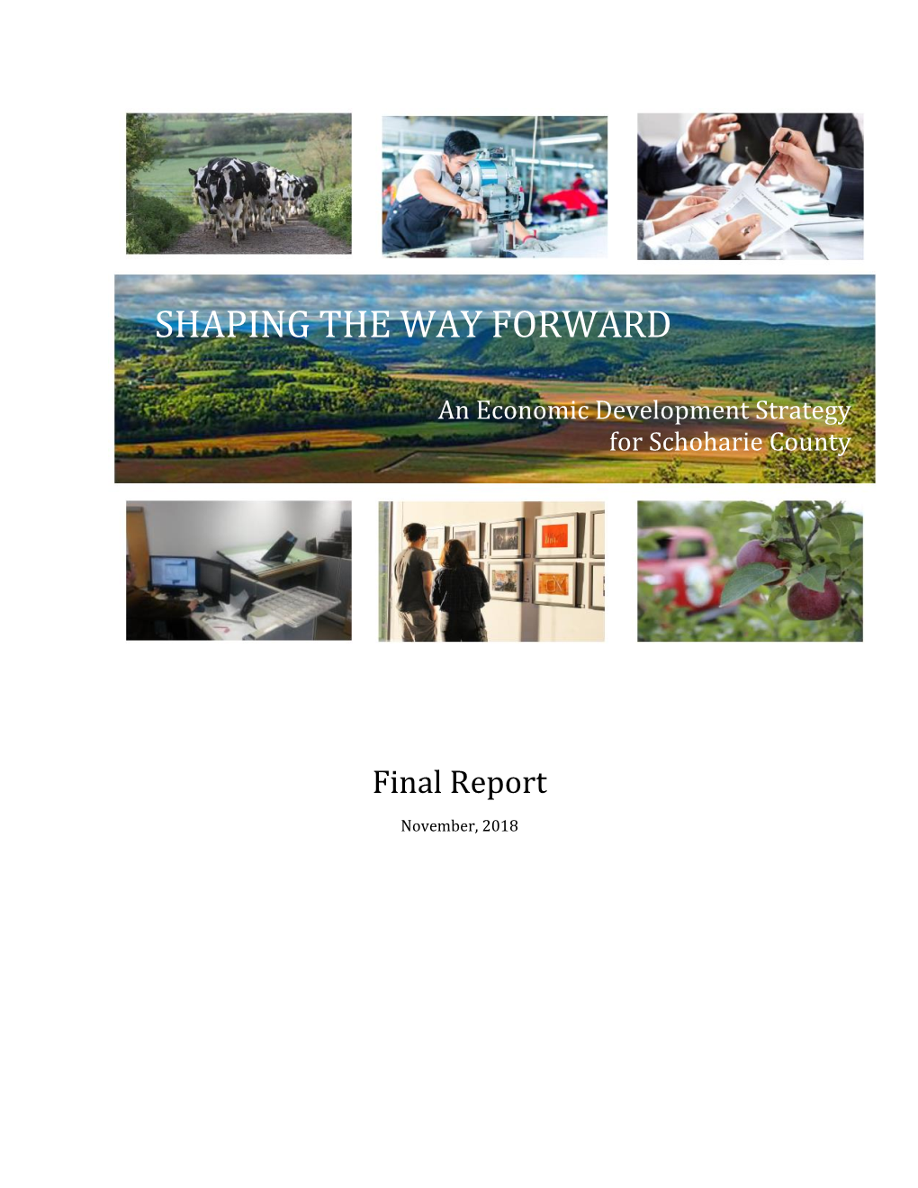 Schoharie County Economic Development Strategy, Final Report