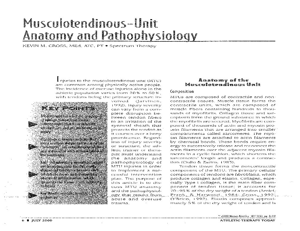 Anatomy of the Bbusculotsndinous Unit