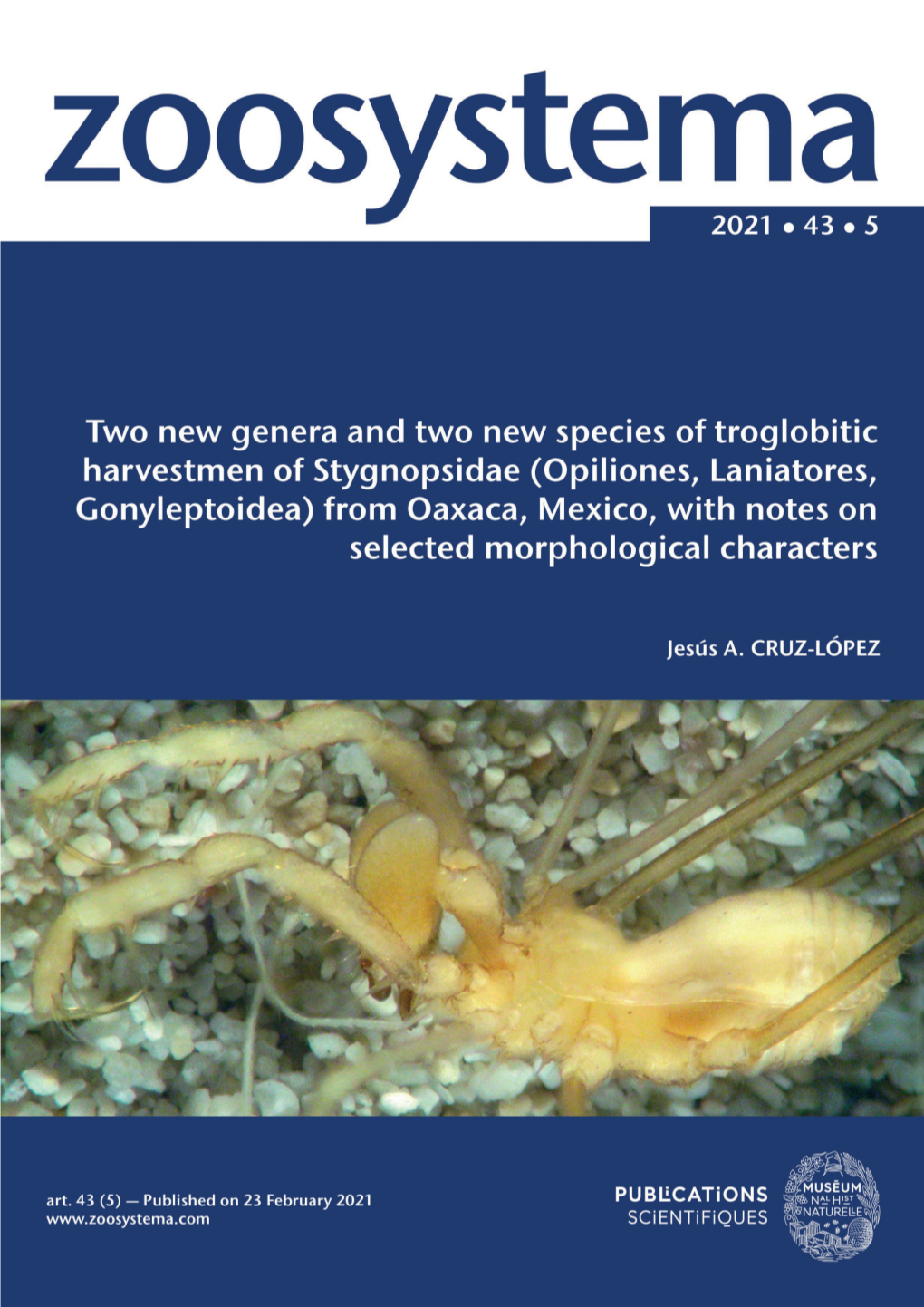 Opiliones, Laniatores, Gonyleptoidea) from Oaxaca, Mexico, with Notes on Selected Morphological Characters