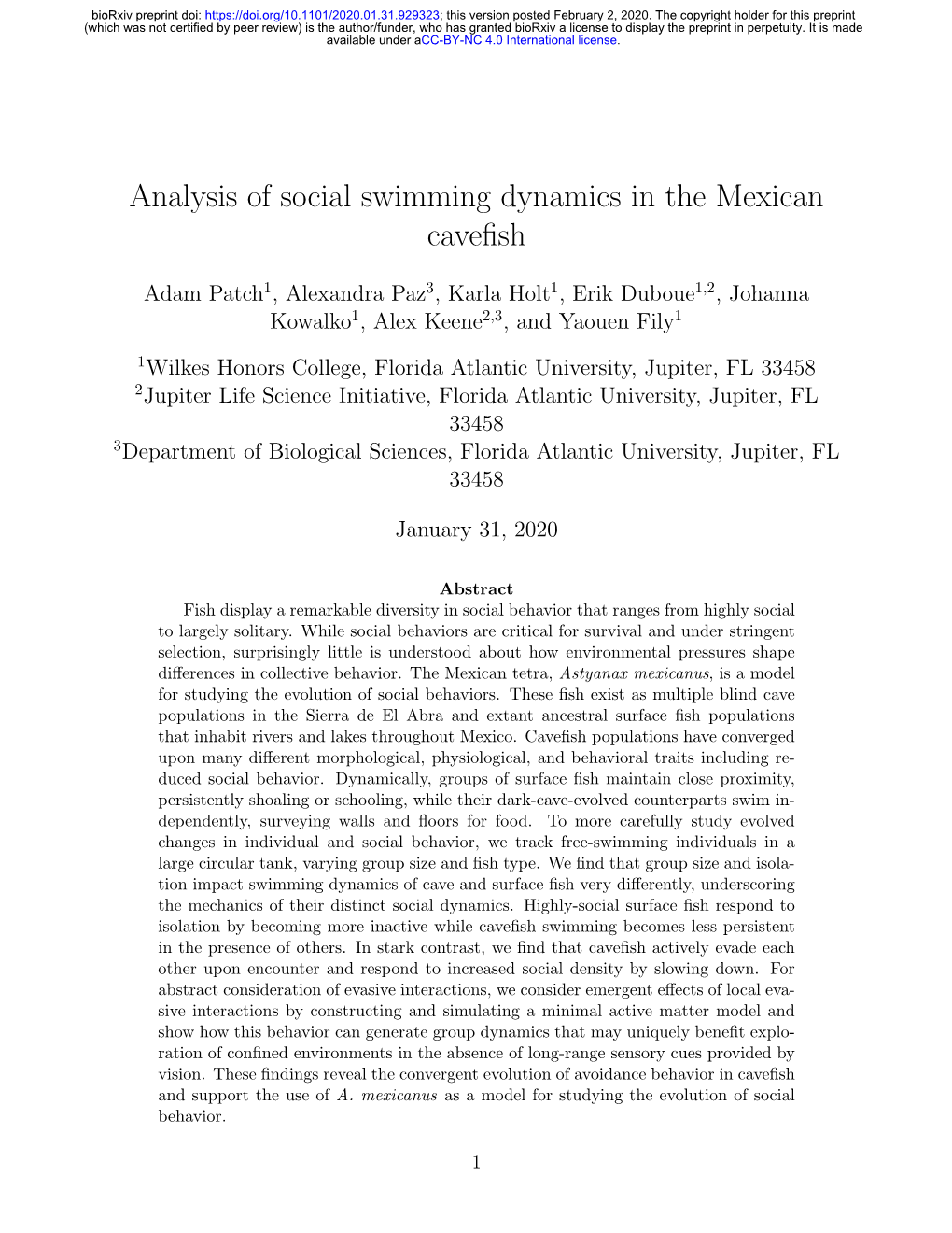 Analysis of Social Swimming Dynamics in the Mexican Cavefish