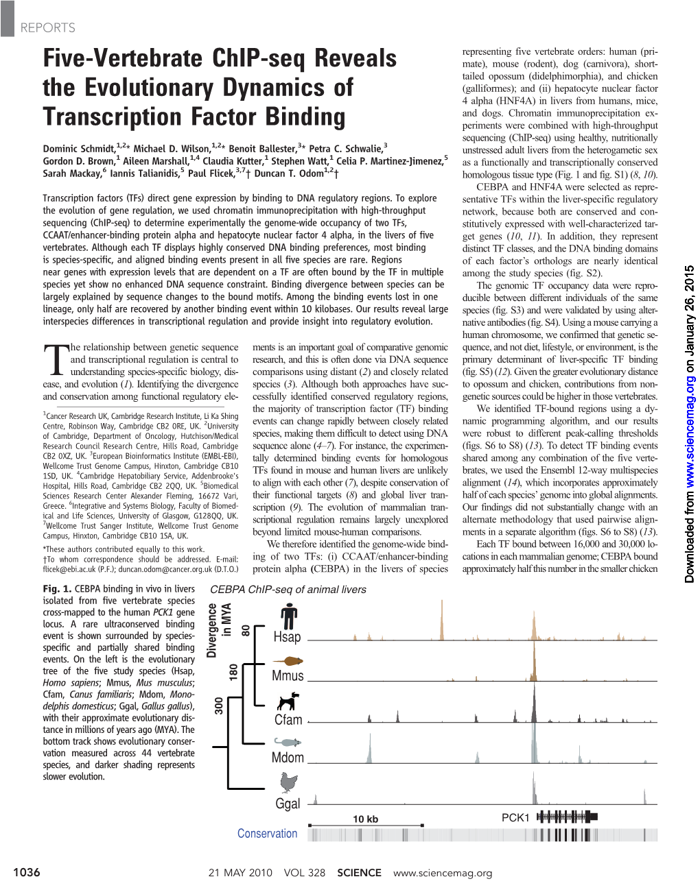 Five-Vertebrate Chip-Seq Reveals the Evolutionary Dynamics of Transcription Factor Binding Dominic Schmidt Et Al