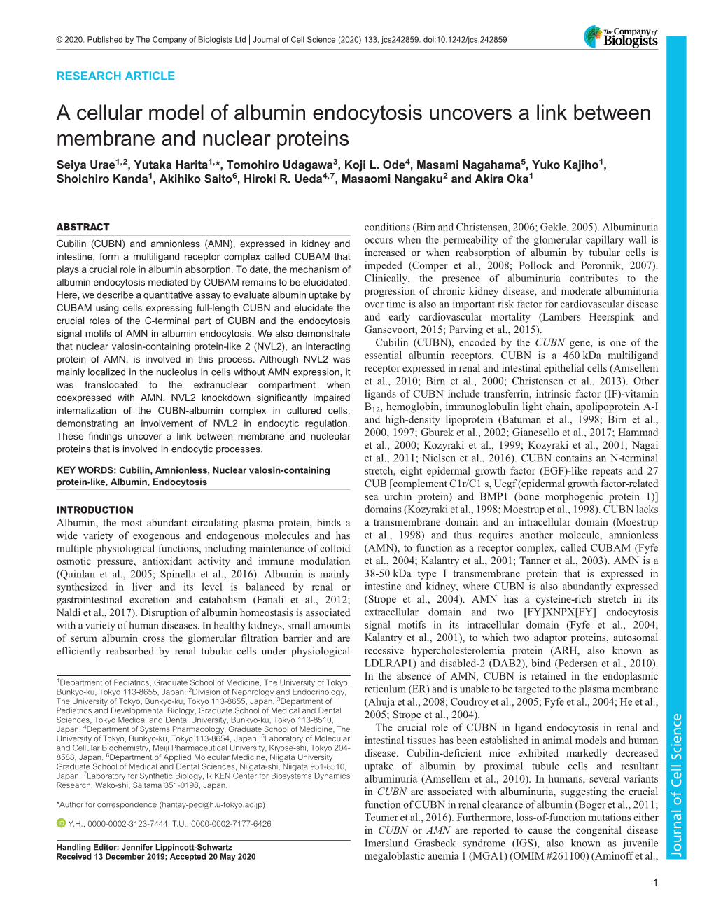 A Cellular Model of Albumin Endocytosis Uncovers a Link Between Membrane and Nuclear Proteins Seiya Urae1,2, Yutaka Harita1,*, Tomohiro Udagawa3, Koji L