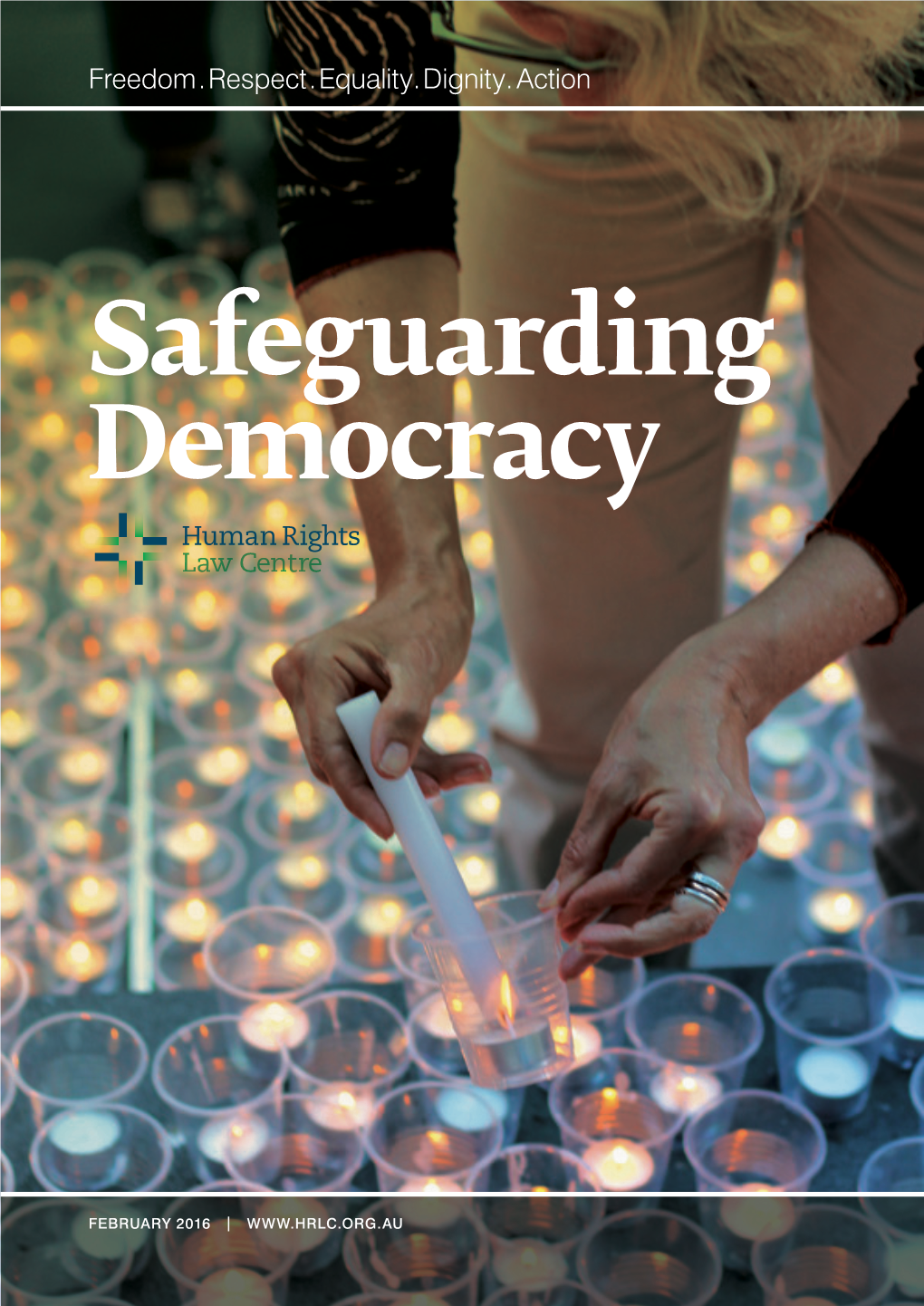 Safeguarding Democracy