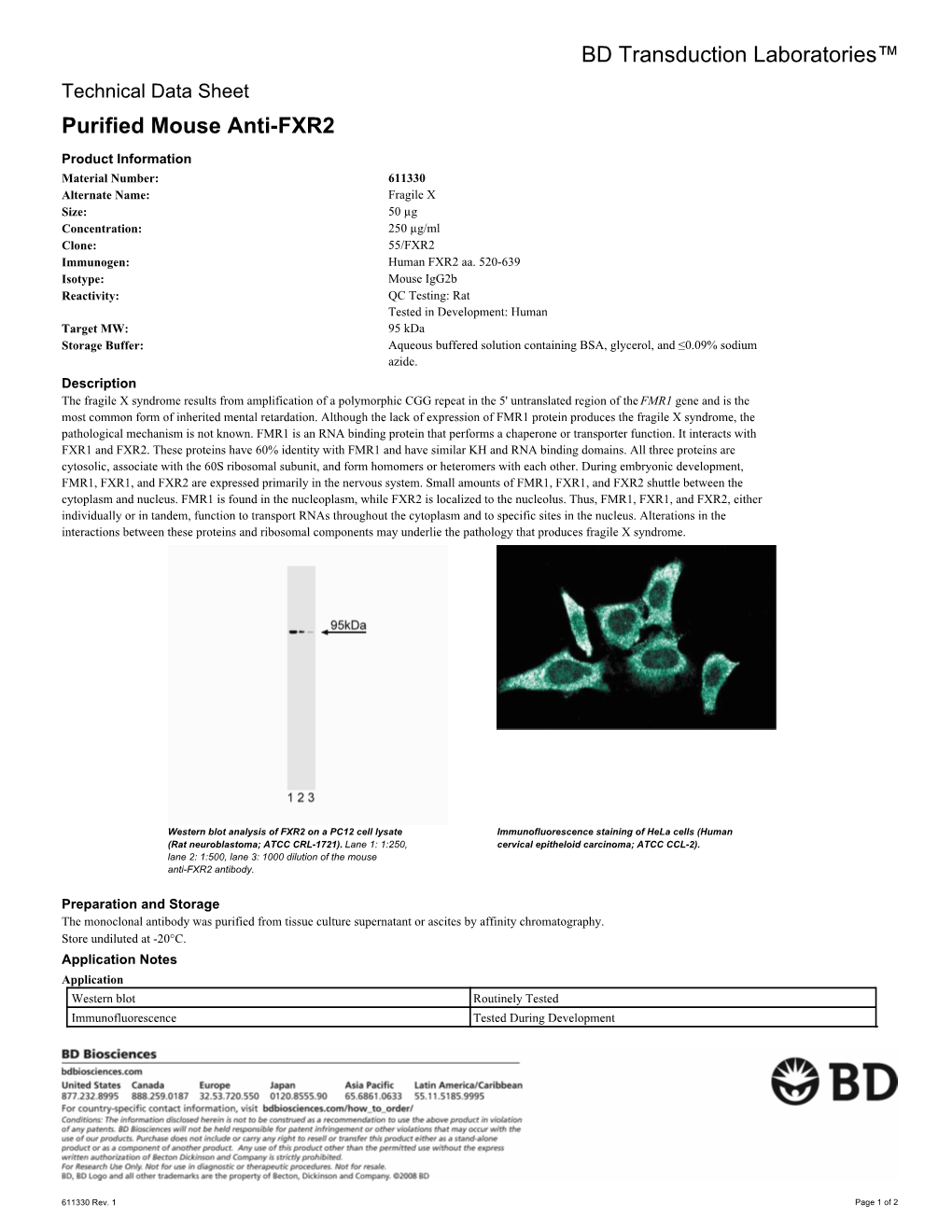 BD Transduction Laboratories™ Purified Mouse Anti-FXR2