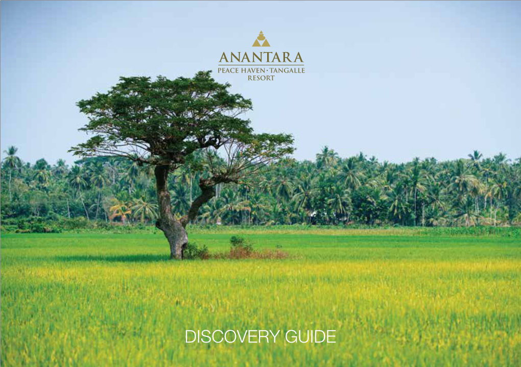 ATAN Discovery Guide