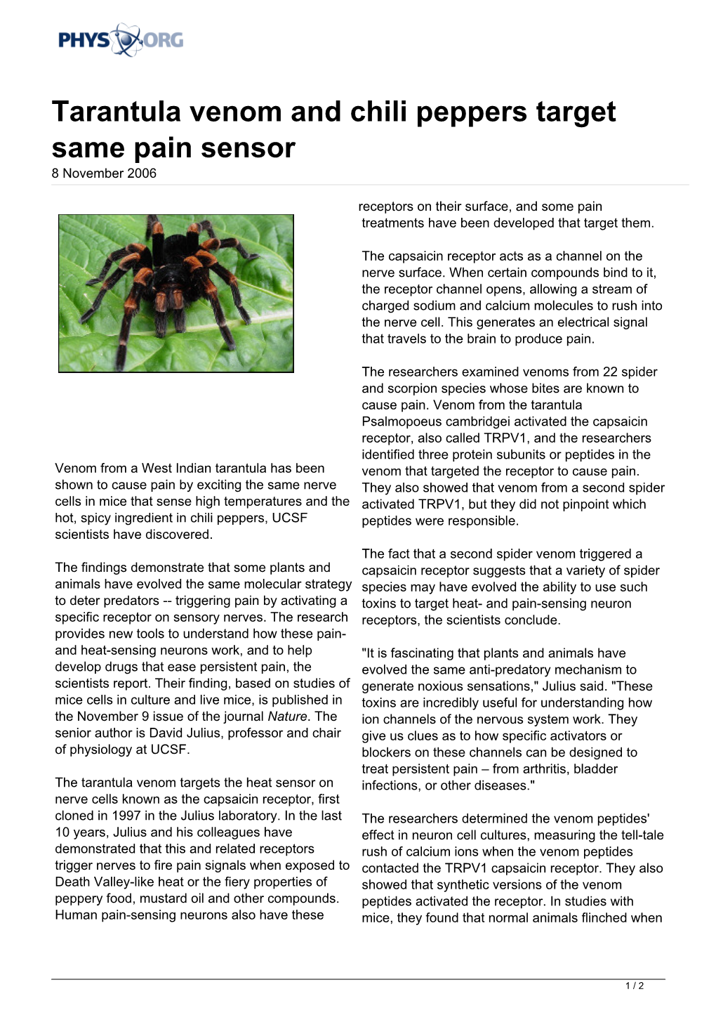 Tarantula Venom and Chili Peppers Target Same Pain Sensor 8 November 2006