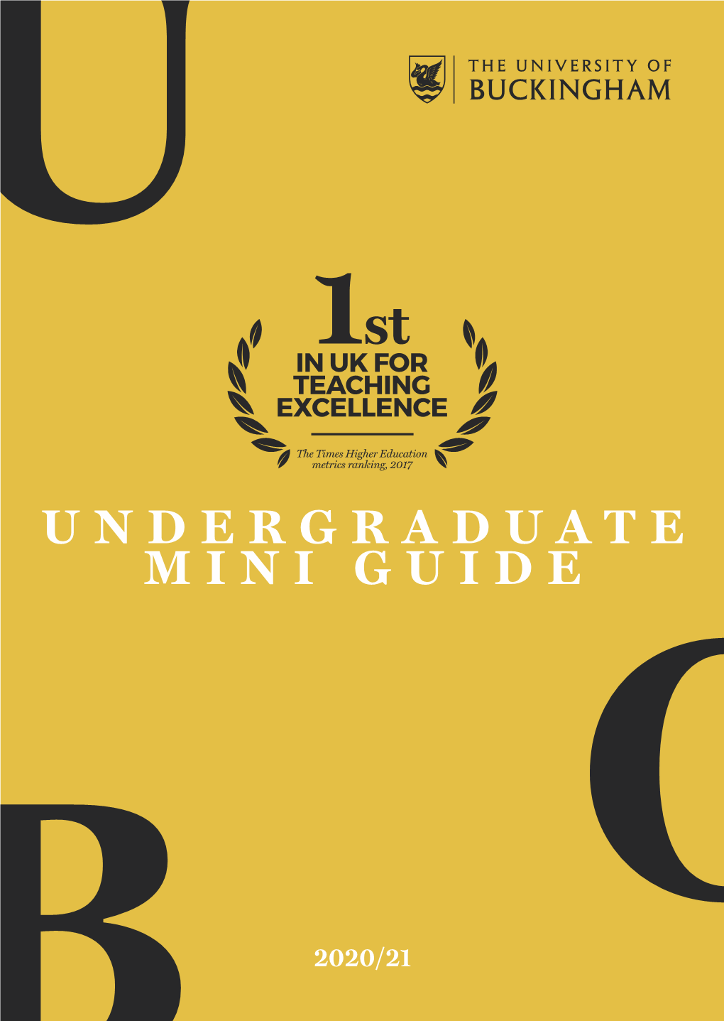 Undergraduate Mini Guide