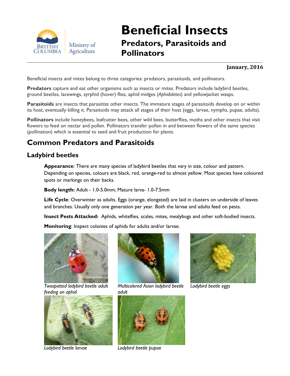 Beneficial Insects Predators, Parasitoids and Pollinators