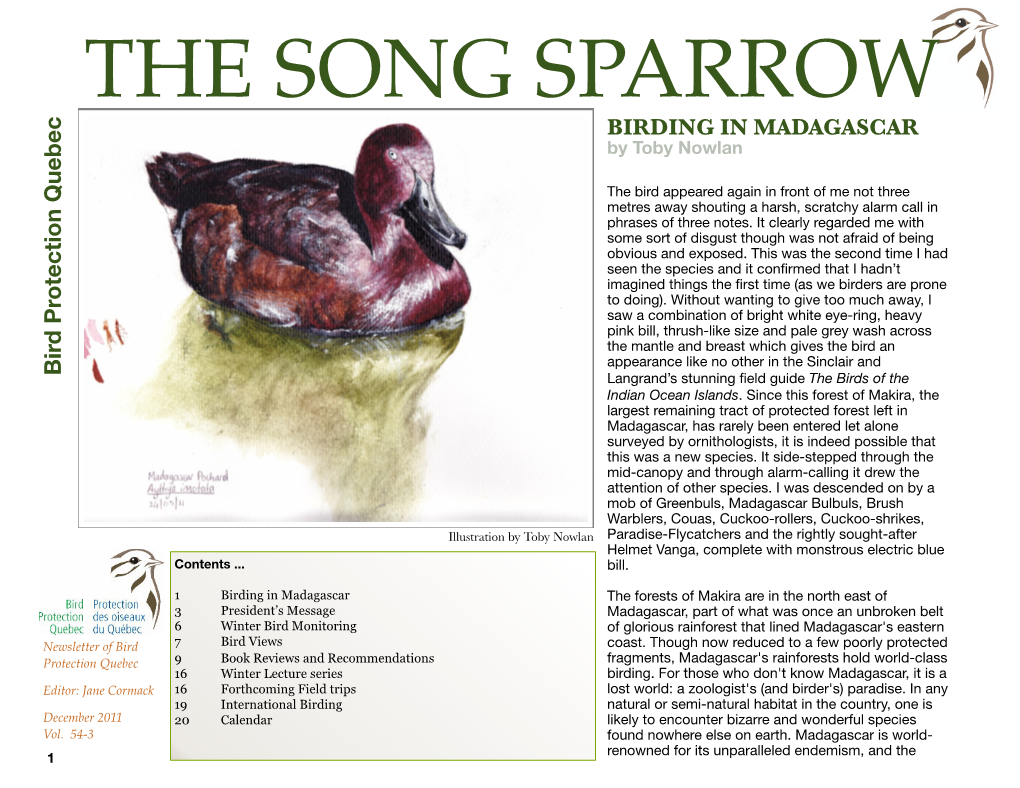 THE SONG SPARROW BIRDING in MADAGASCAR by Toby Nowlan
