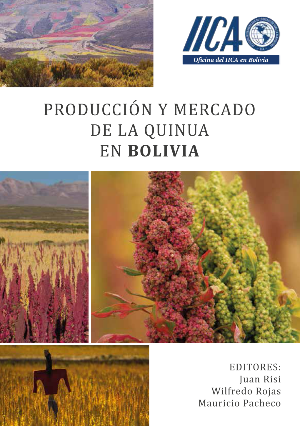 Producción Y Mercado De La Quinua En Bolivia