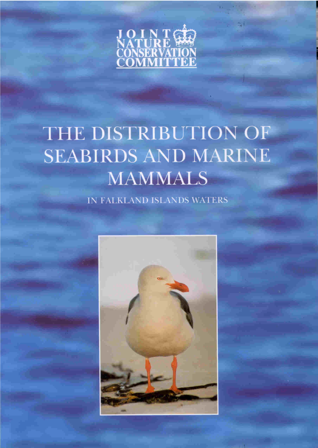 The Distribution of Seabirds and Marine Mammals in Falkland Island