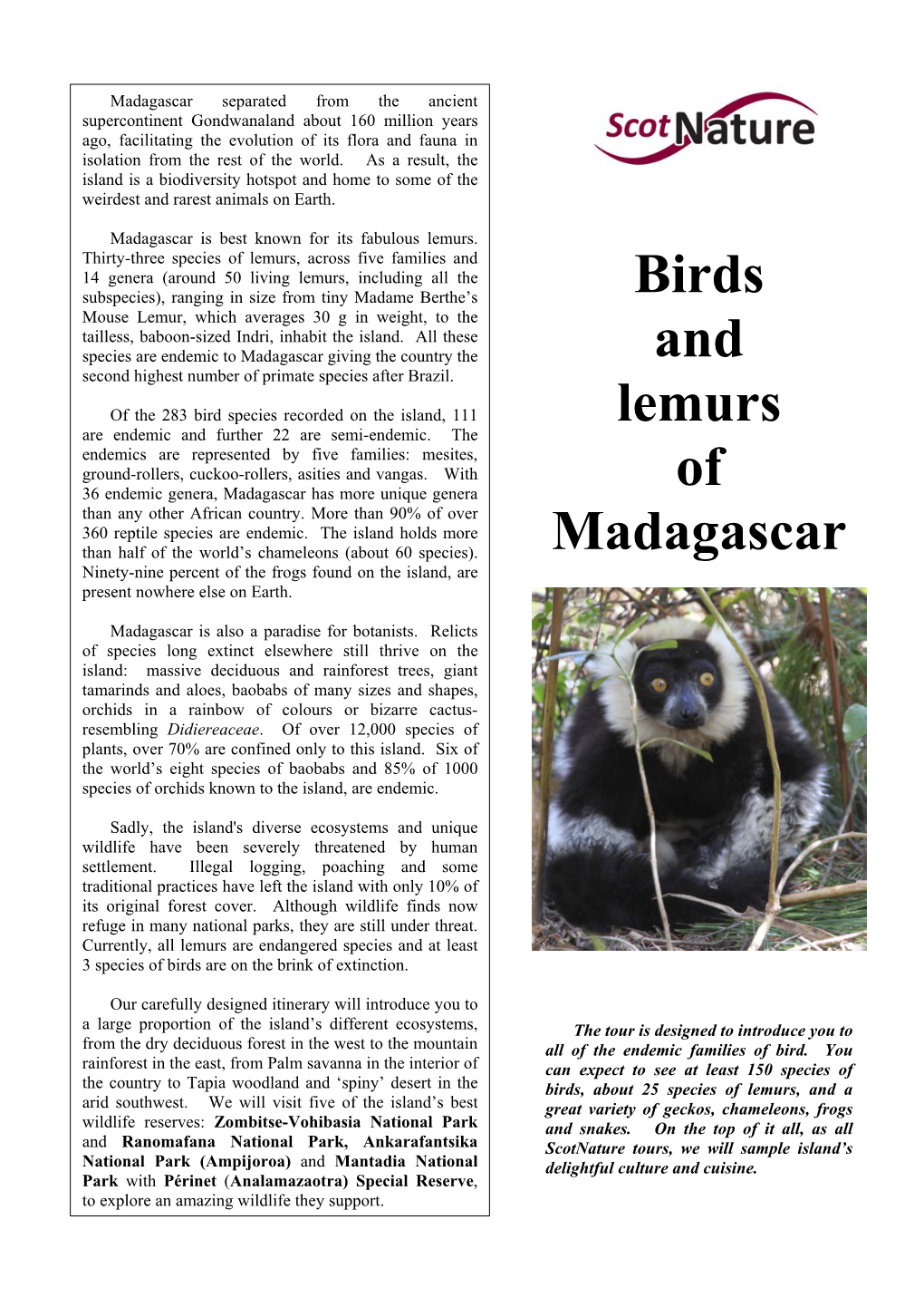 Birds and Lemurs of Madagascar