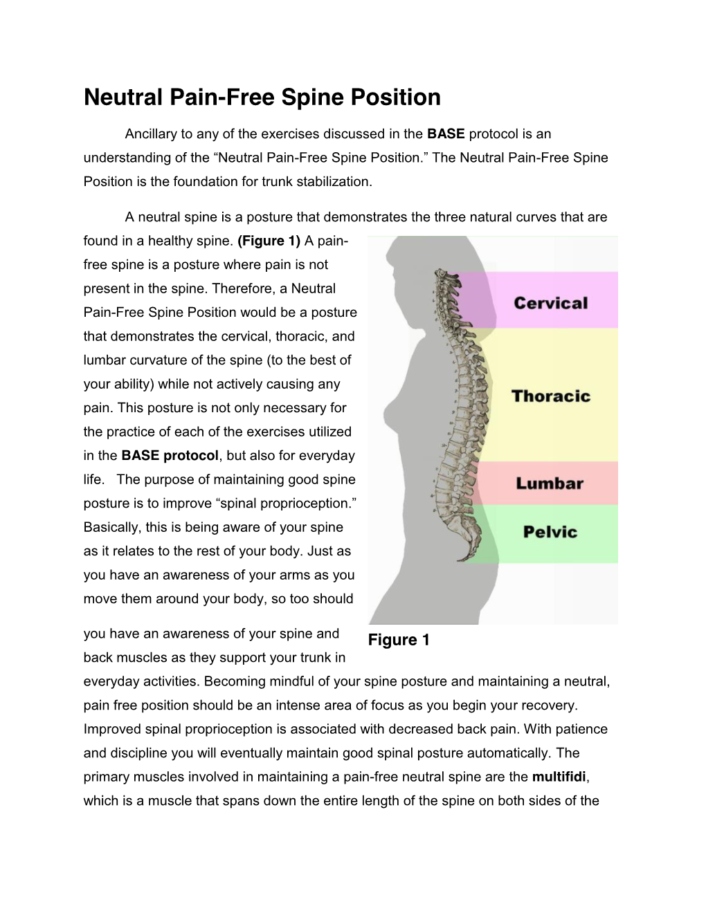 Neutral Pain-Free Spine Position