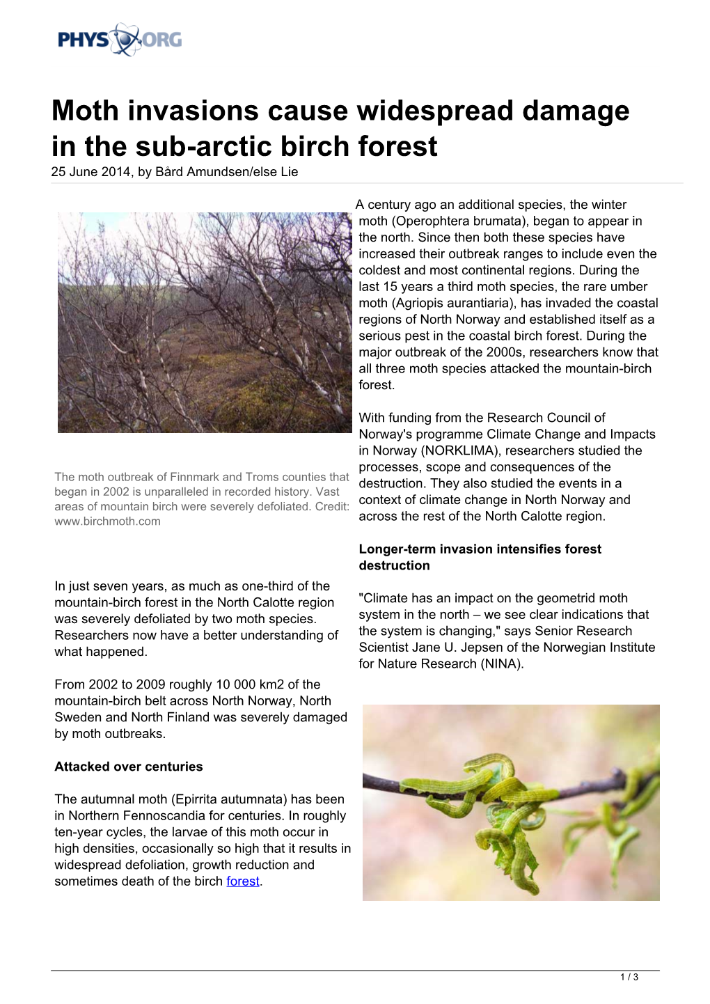 Moth Invasions Cause Widespread Damage in the Sub-Arctic Birch Forest 25 June 2014, by Bård Amundsen/Else Lie