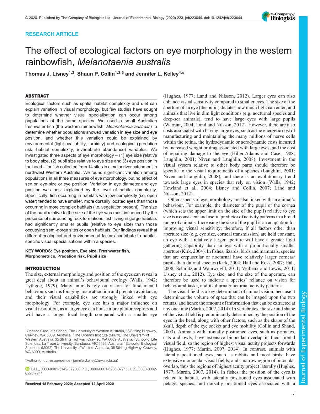 The Effect of Ecological Factors on Eye Morphology in the Western Rainbowfish, Melanotaenia Australis Thomas J