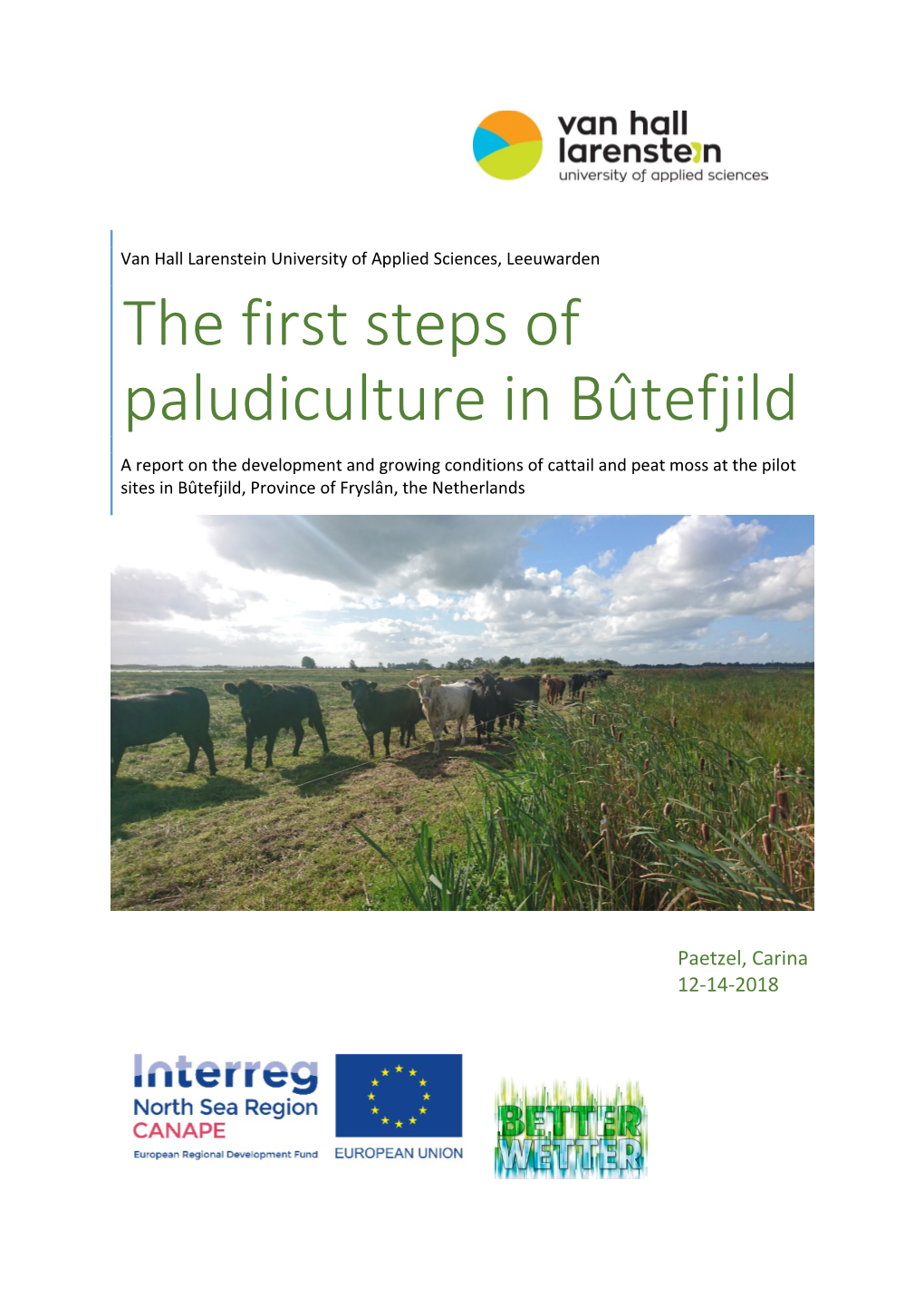 The First Steps of Paludiculture in Bûtefjild