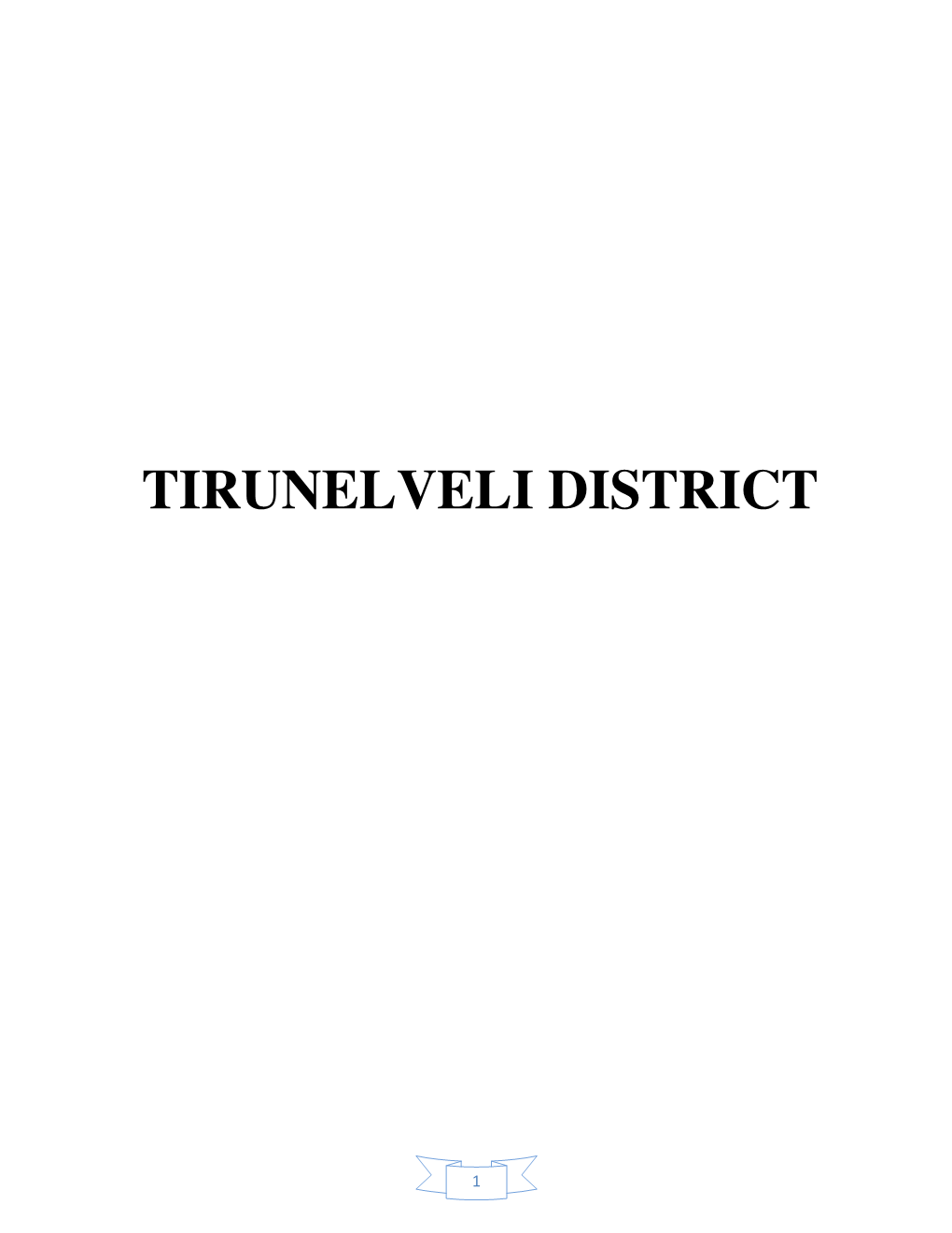 Tirunelveli District