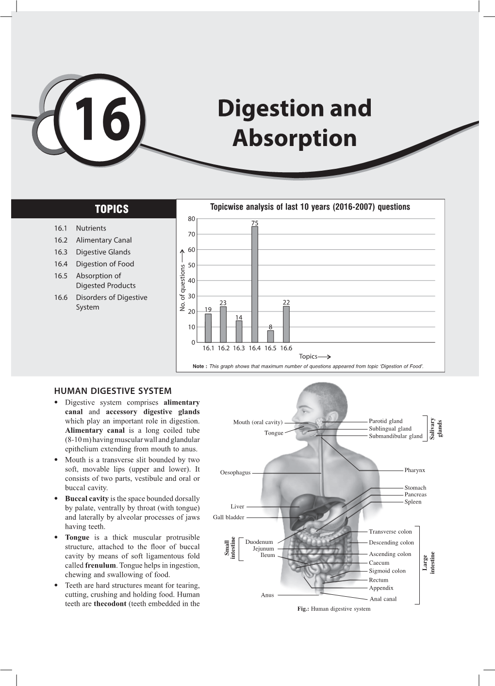 Digestion and Absorption 3