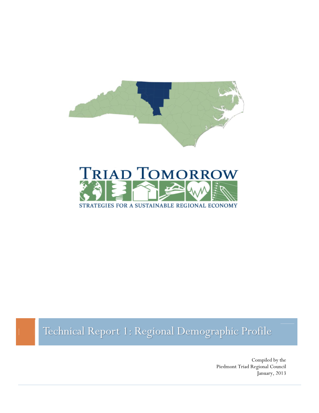 Technical Report 1: Regional Demographic Profile