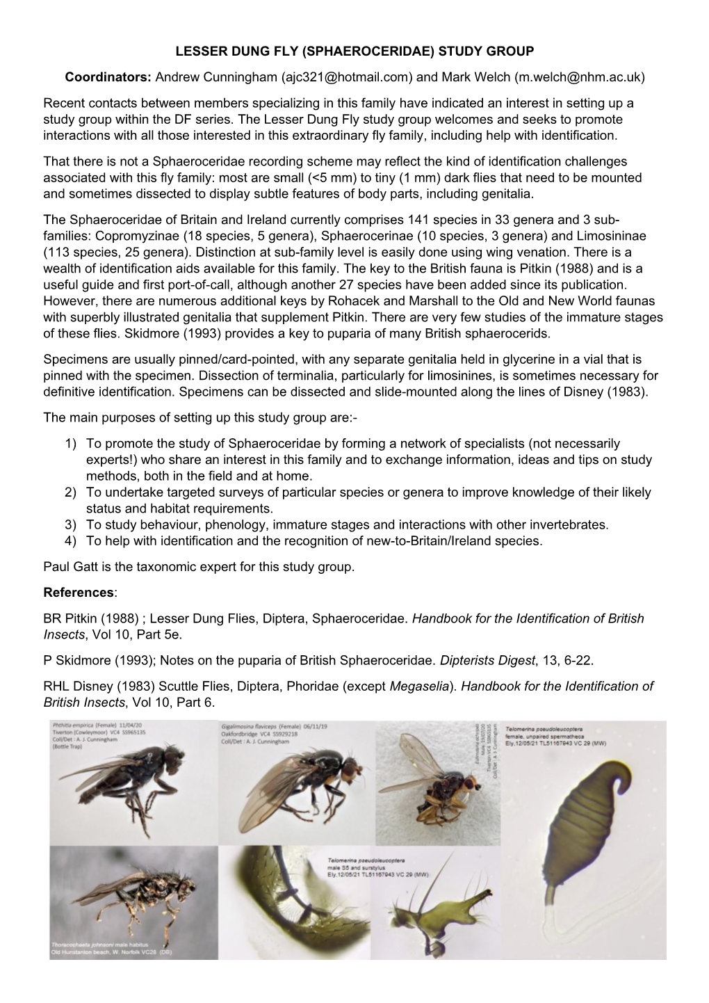 Lesser Dung Fly (Sphaeroceridae) Study Group