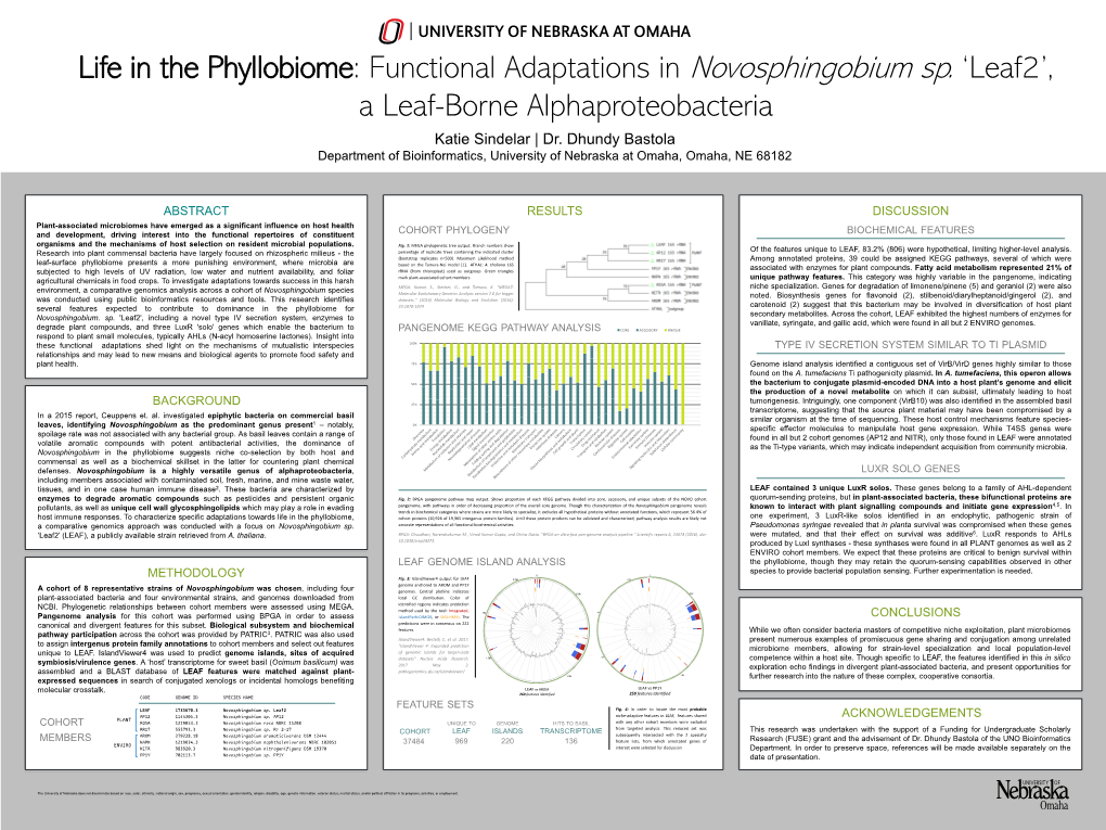 Life in the Phyllobiome: Functional Adaptations in Novosphingobium Sp. Â•Ÿleaf2â•Ž, a Leaf-Borne Alphaproteobacteria