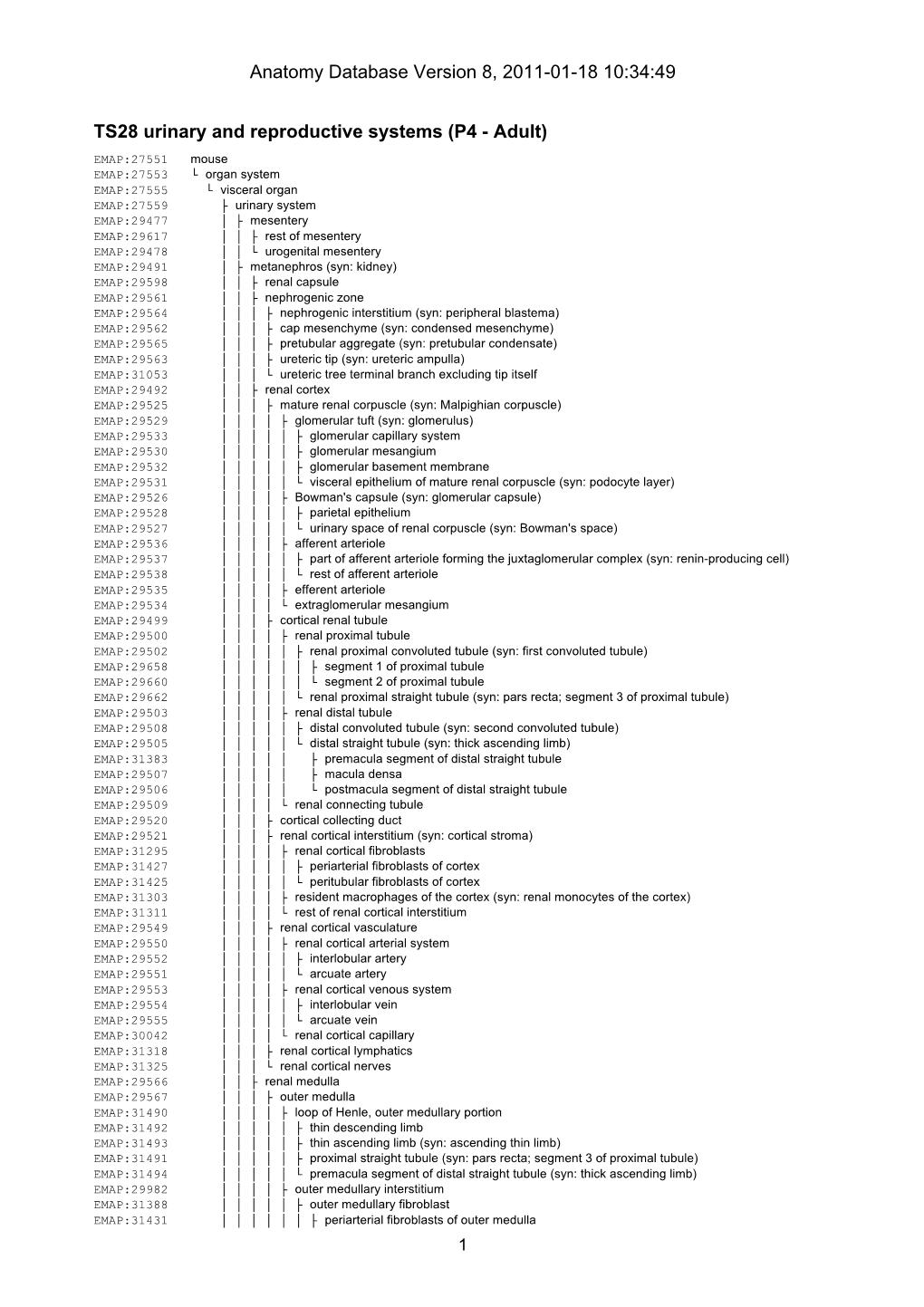 Anatomy Database Version 8, 2011-01-18 10:34:49