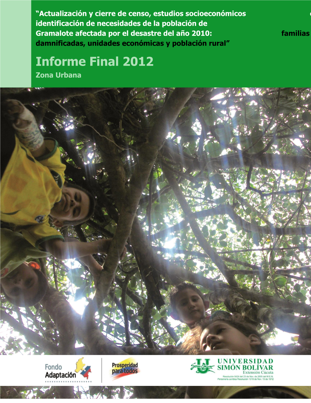 Informe Final 2012