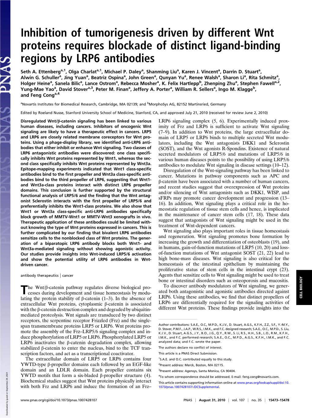 Inhibition of Tumorigenesis Driven by Different Wnt Proteins Requires Blockade of Distinct Ligand-Binding Regions by LRP6 Antibodies