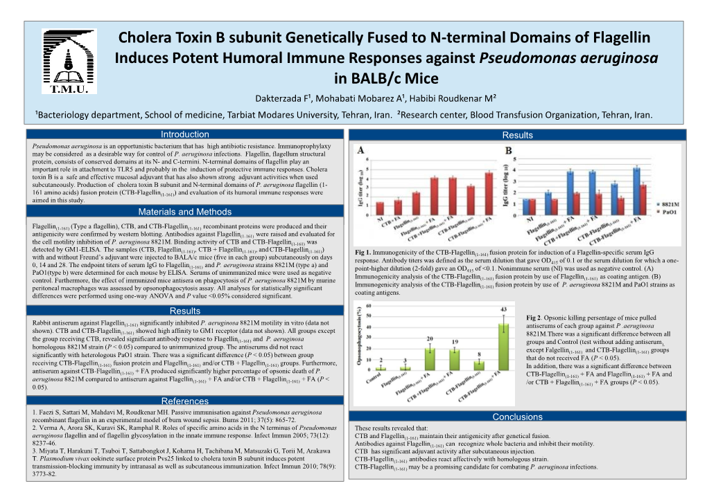 Cholera Toxin B Subunit Genetically Fused to N-Terminal