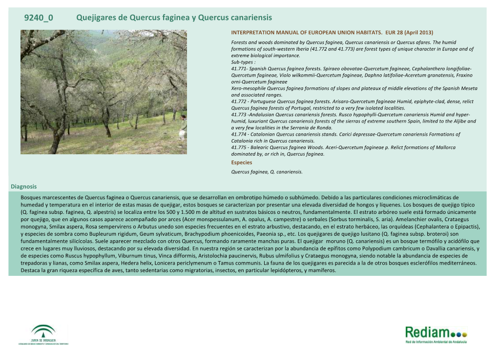 Quejigares De Quercus Faginea Y Quercus Canariensis