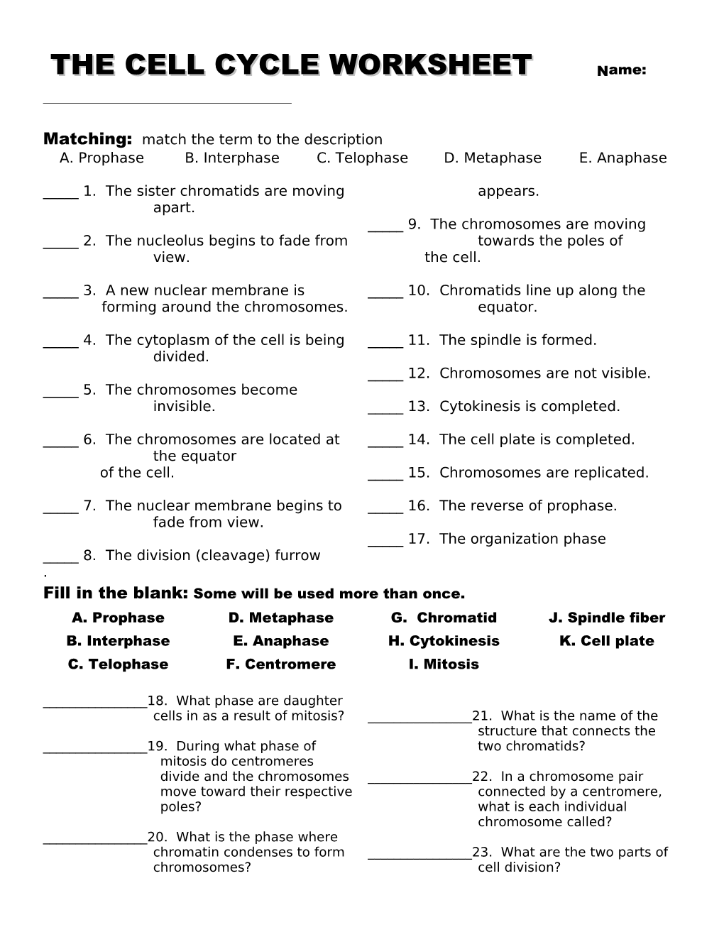 The Cell Cycle Worksheet