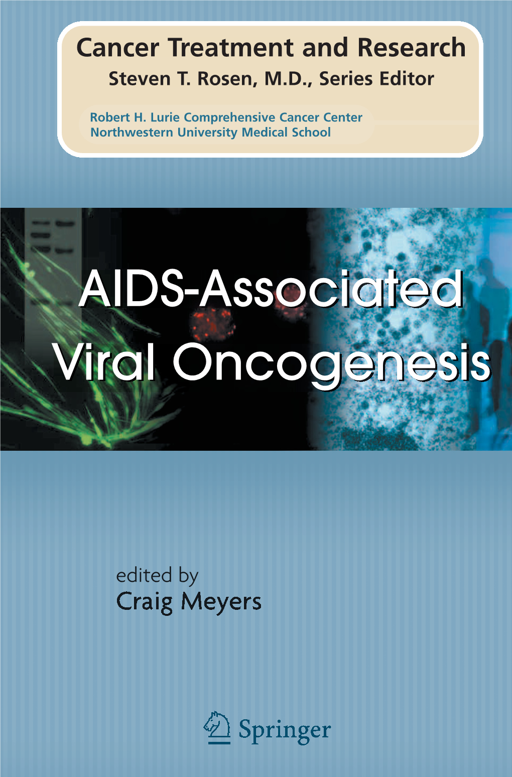 AIDS-Associated Viral Oncogenesis