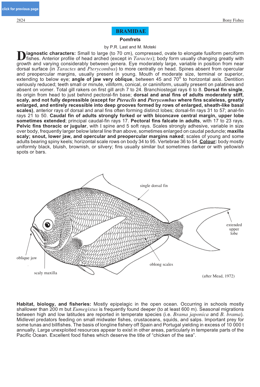 BRAMIDAE Pomfrets by P.R