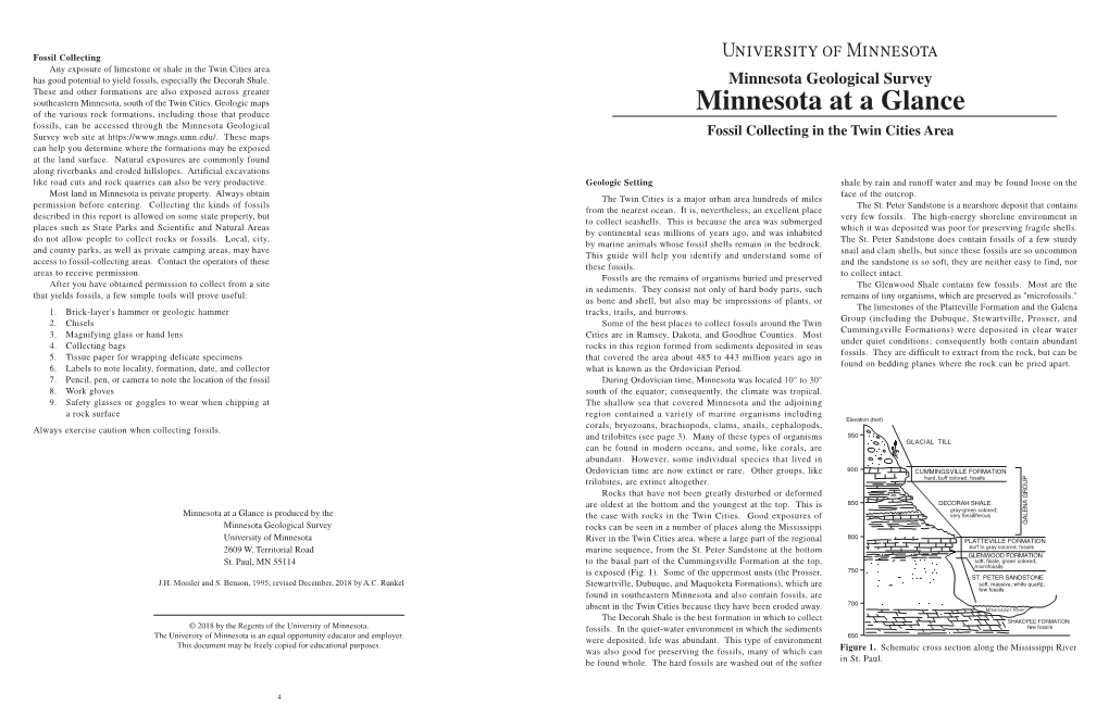 Fossil Collecting in the Twin Cities Area Can Help You Determine Where the Formations May Be Exposed at the Land Surface